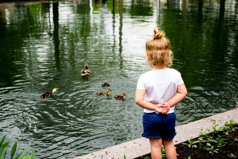 little girl watching ducks in the lake while a couple of other ducks swim around