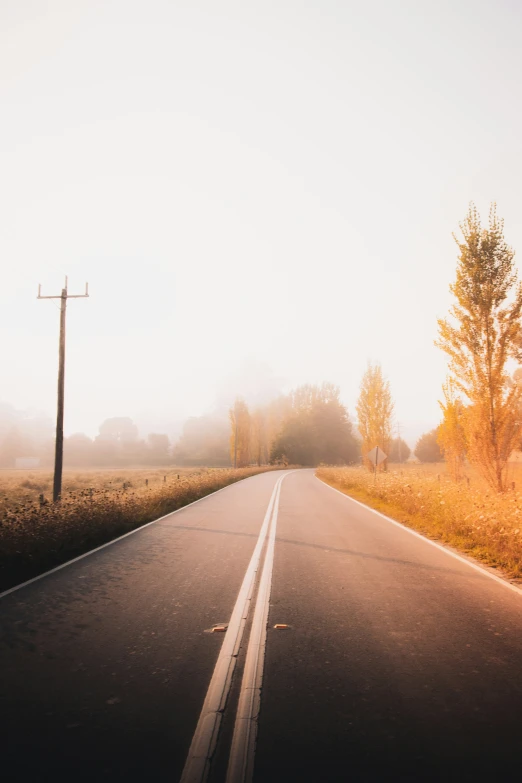 an empty country road stretches into the mist