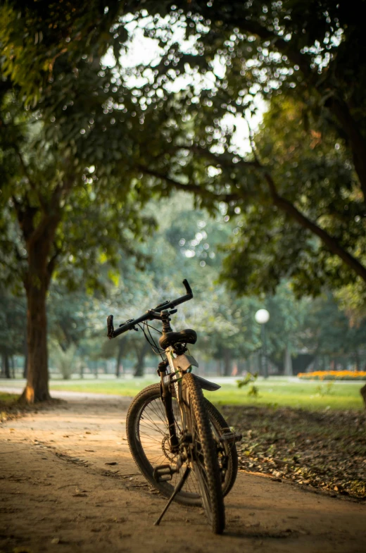 the bicycle sits next to a walkway with trees in the background