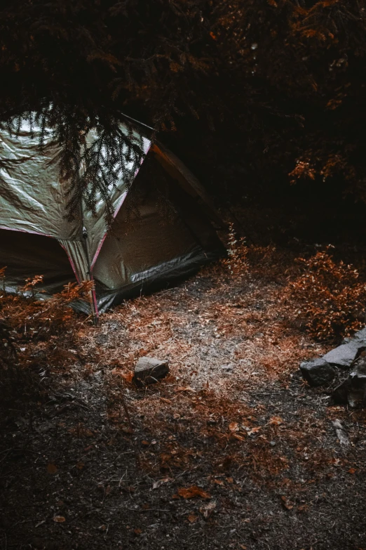 a tent set up under some trees on the ground