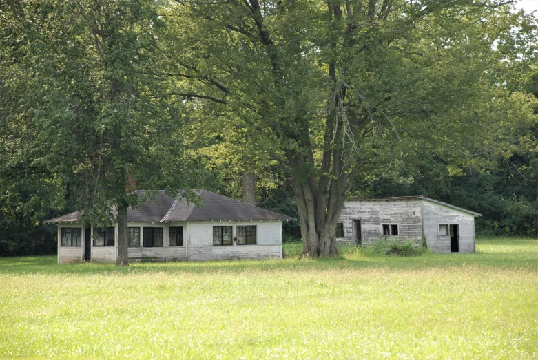 two abandoned houses sit in a field near some trees