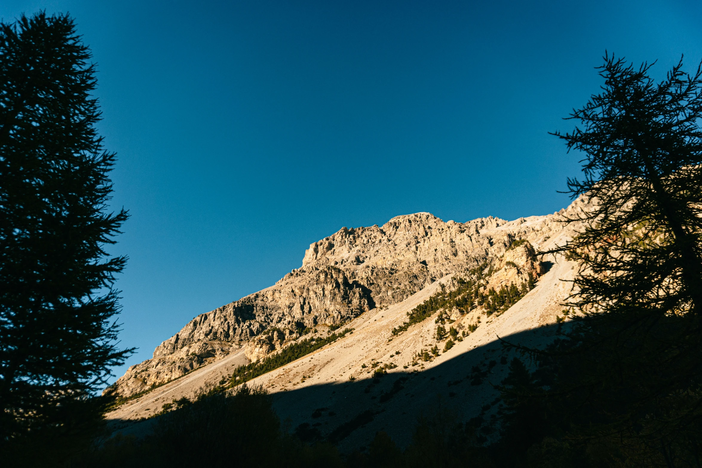 a po taken looking at a mountain with trees