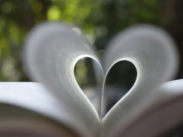 two white heart - shaped objects forming in the shape of a book