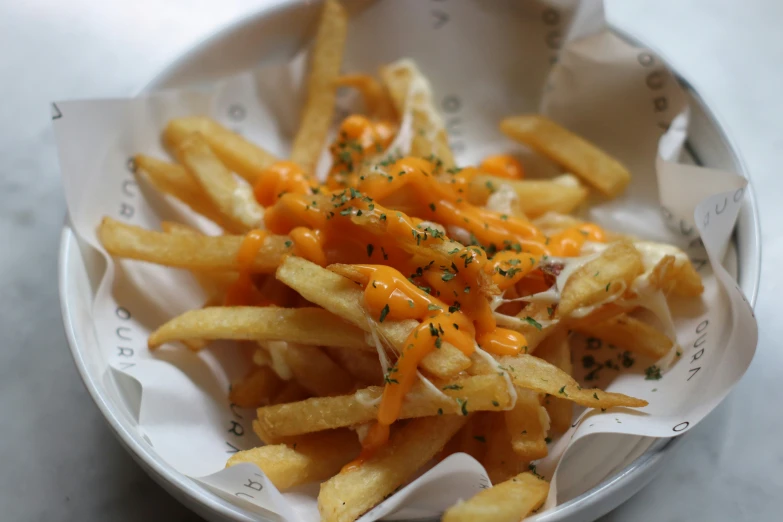 some fries with cheese are served in a paper cup