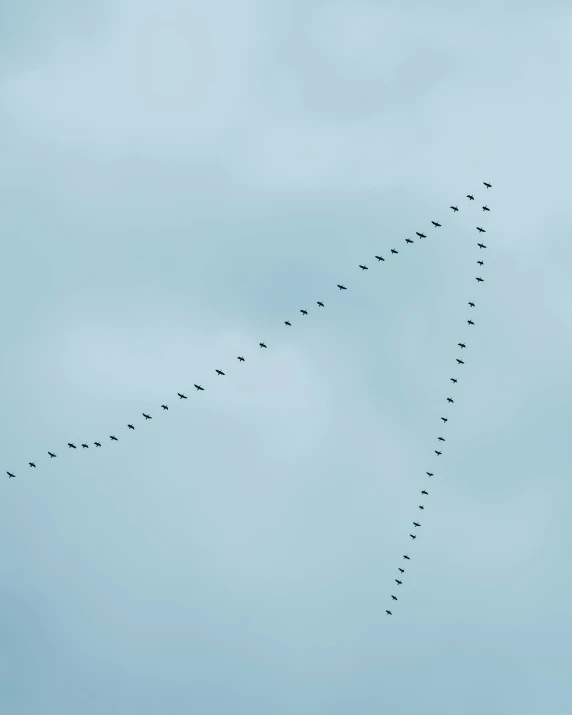 a flock of birds flying above a cross