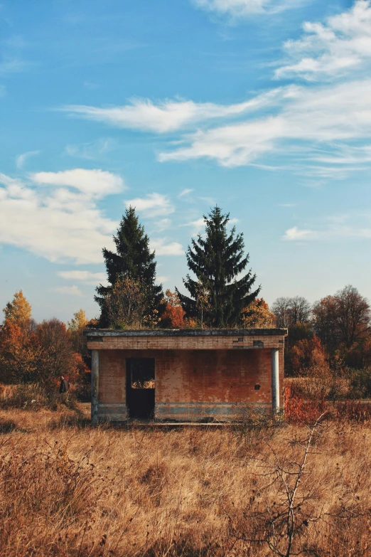 an abandoned out building with a forest in the background