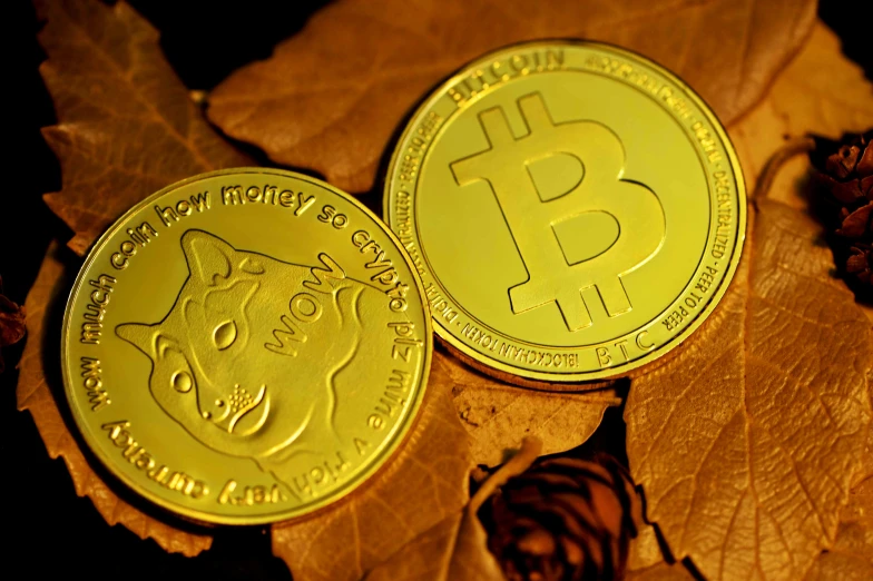 two gold bitcoins resting on top of leaves