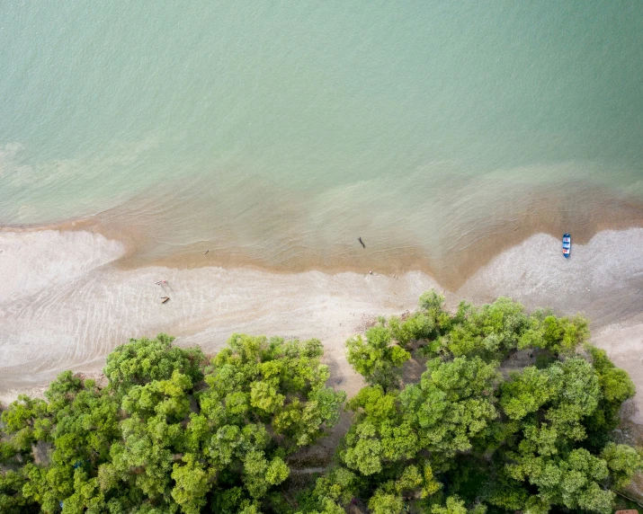 there is an aerial view of a beach, water and trees