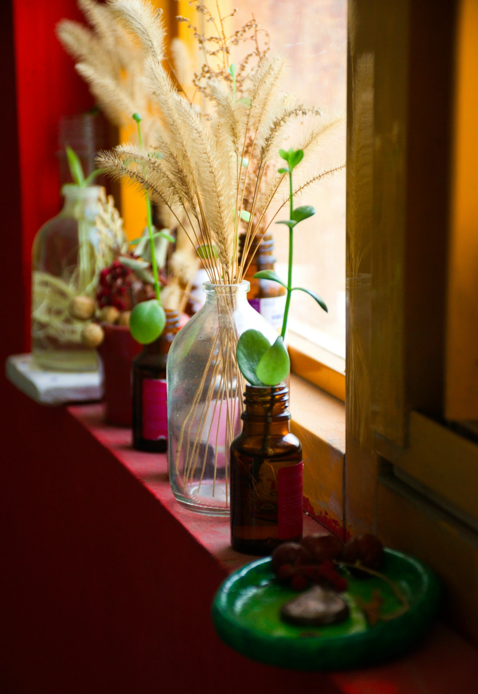 some flowers and green plants are next to the window