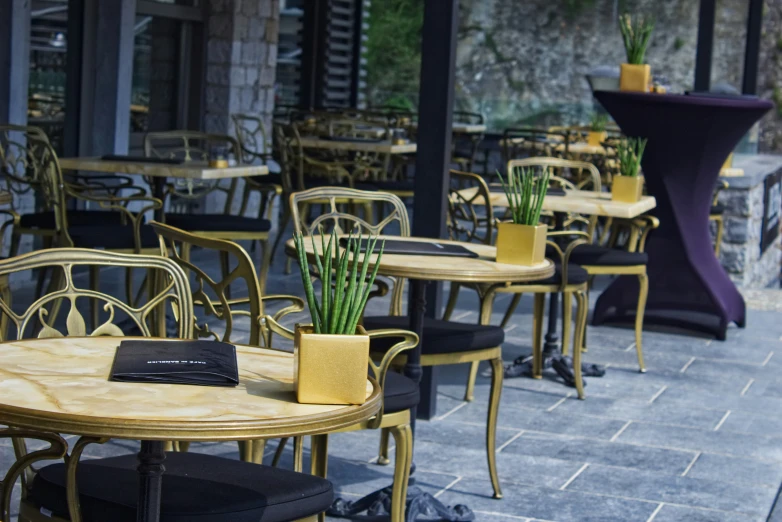 several tables and chairs with flowered plants in pots