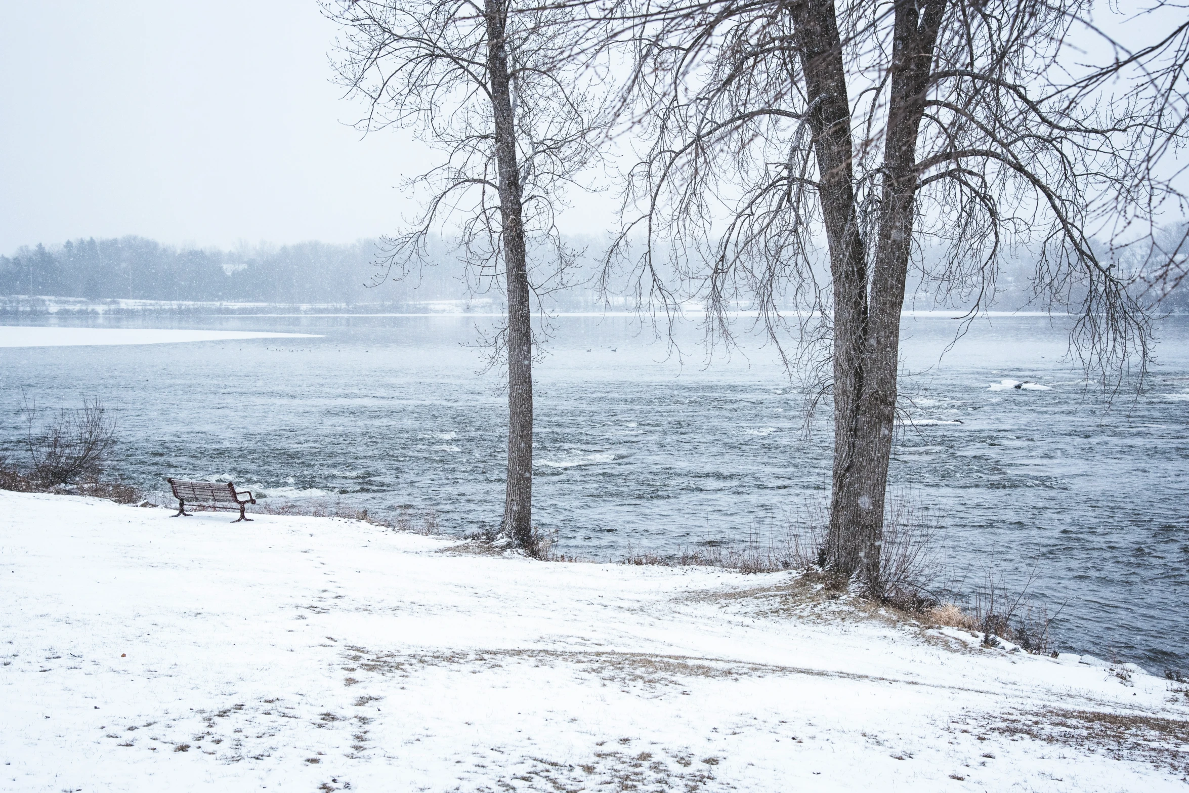 a view from a snowy bank with ducks in the water