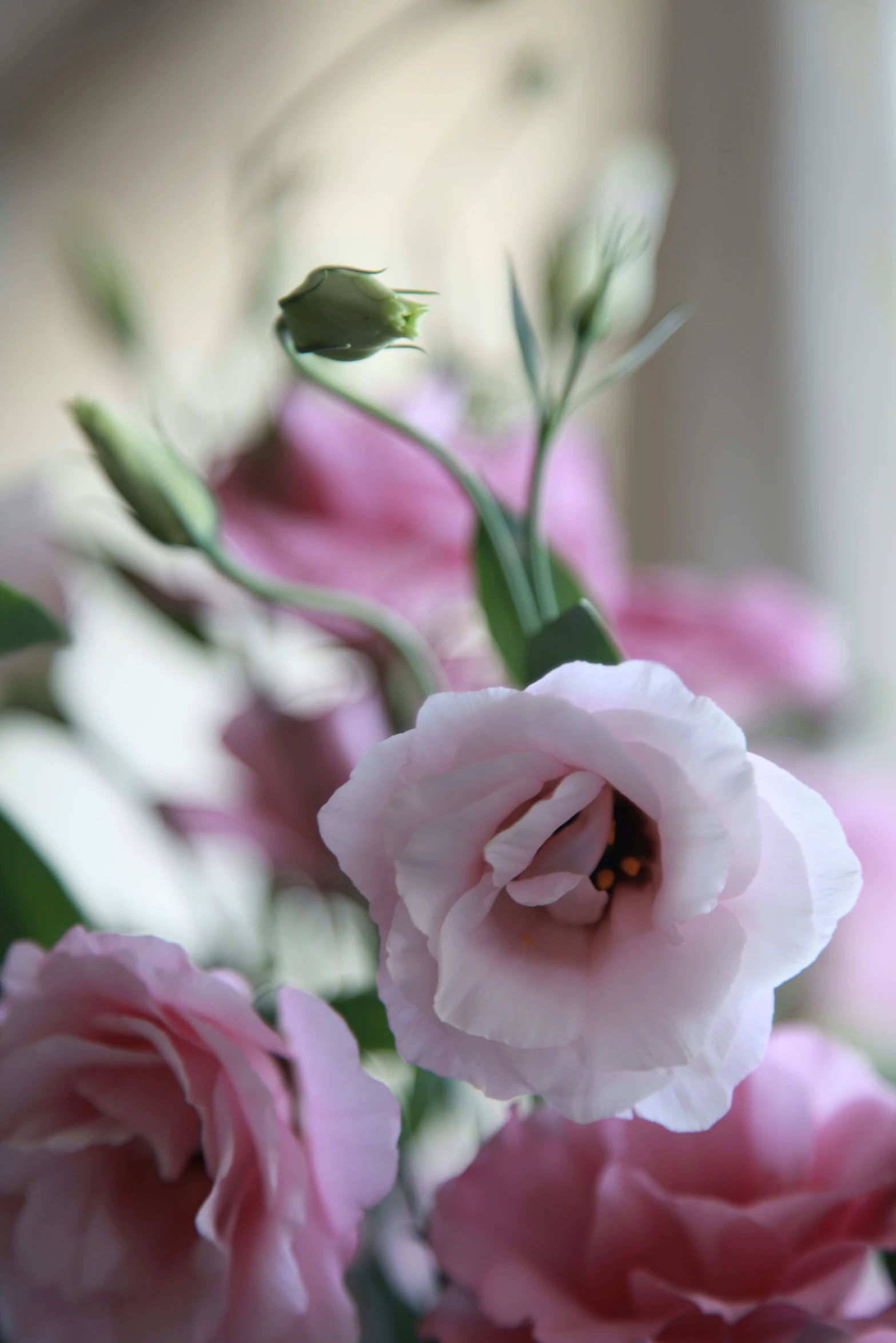 pink flowers are in vase on window sill