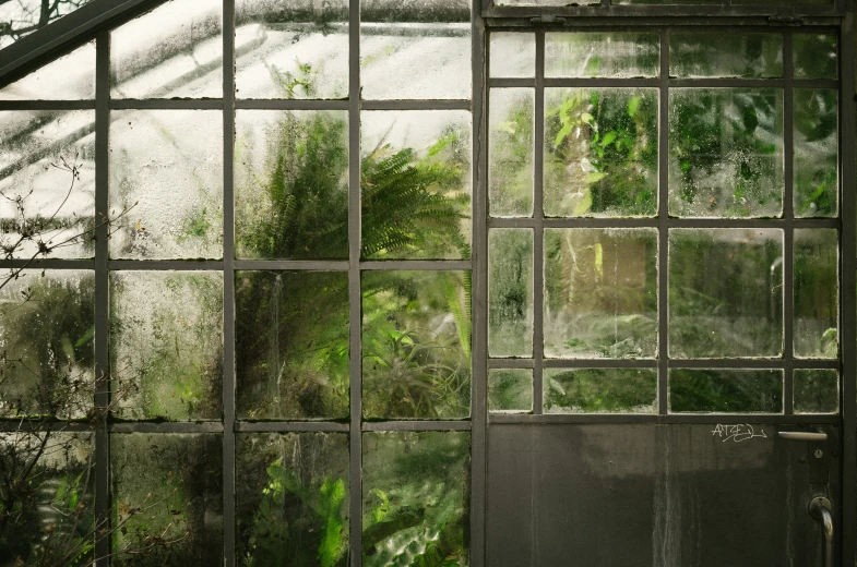 a window with some plants in it