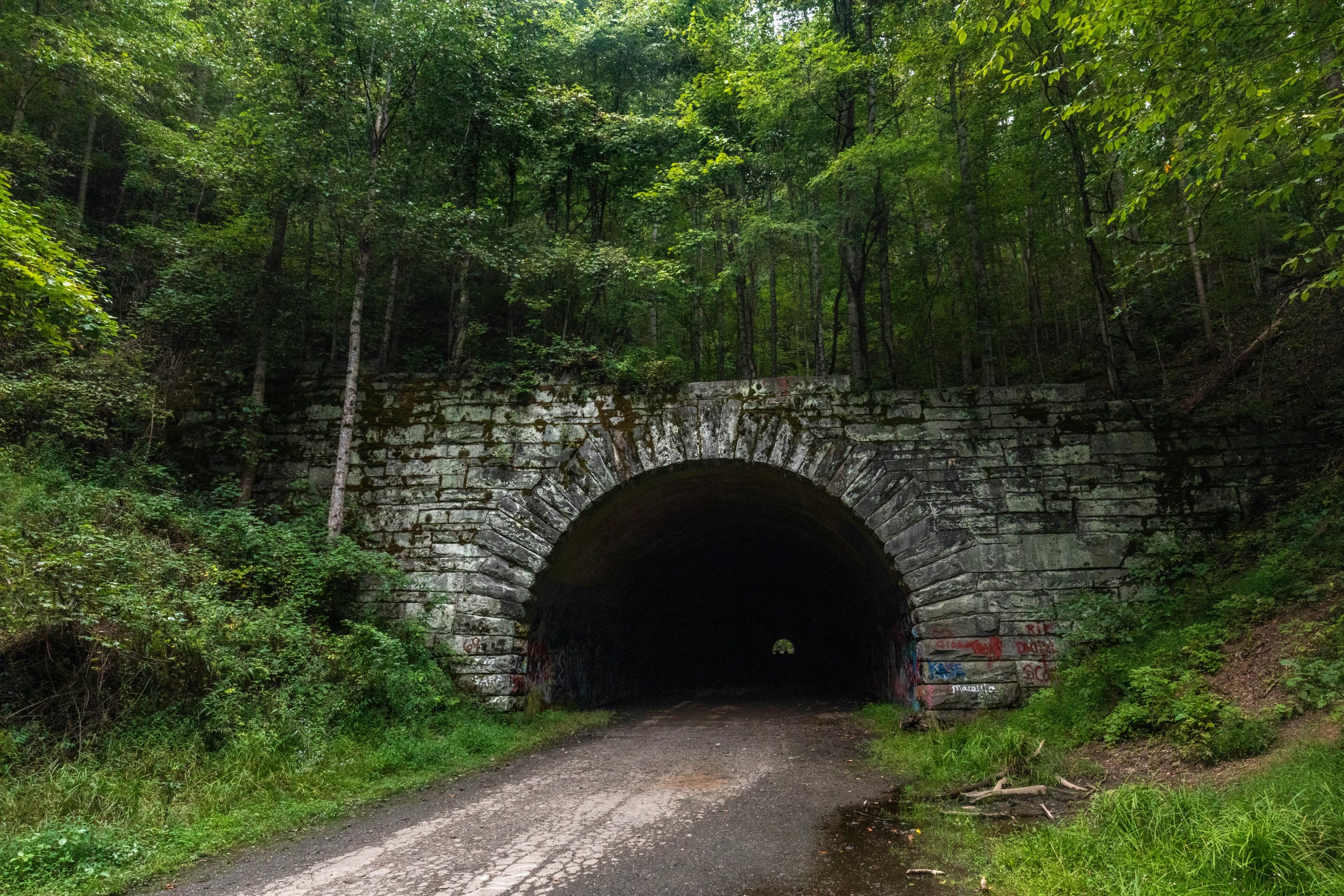 the tunnel in the mountains is surrounded by lush green trees