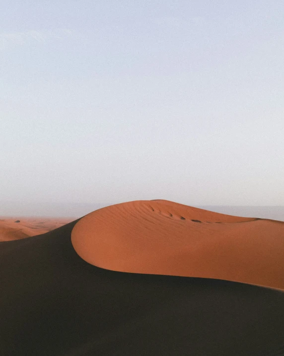 a single tree in the middle of a desert