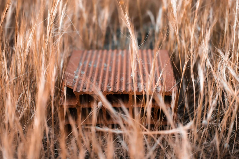 an old rusty metal pipe laying in a field of grass