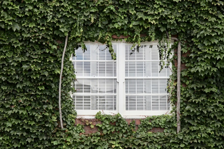 the side of a house covered with a white window