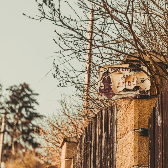 a building with trees on it is made of wood and graffiti