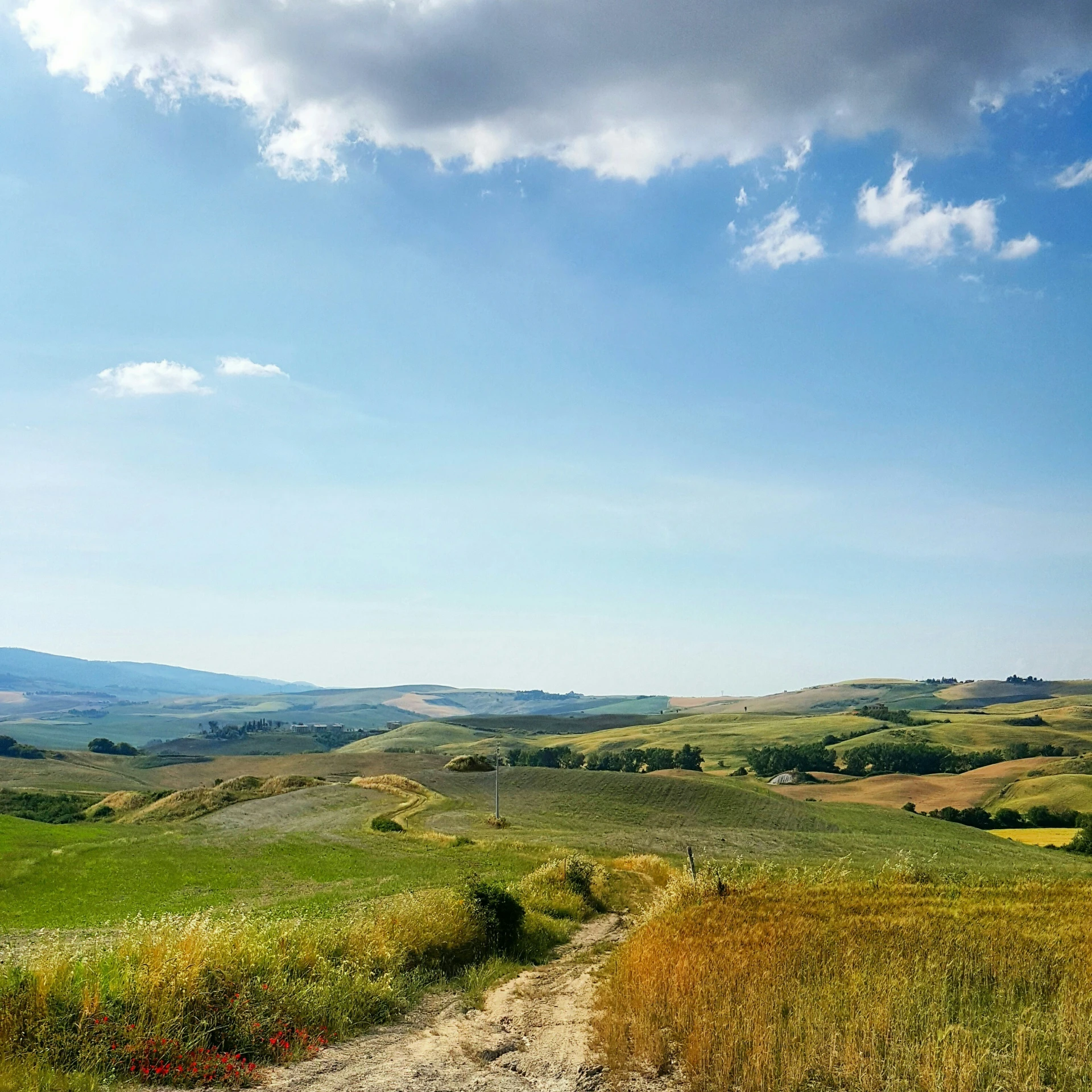 this is an image of a lush green hilly area