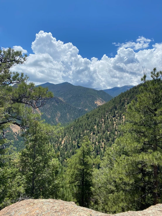 an area with trees and mountains in the distance