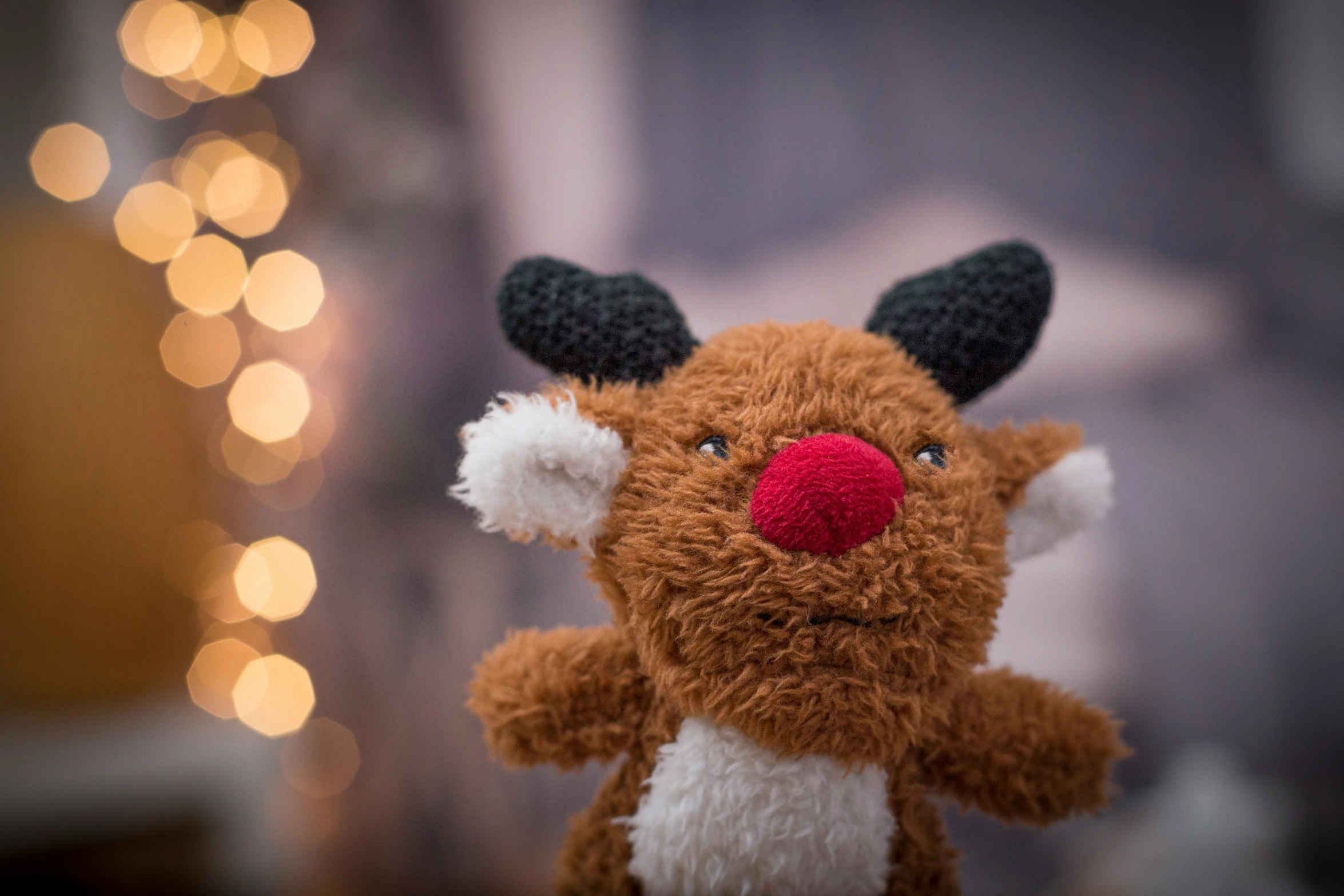 a plush toy has a nose with white, red and black spots