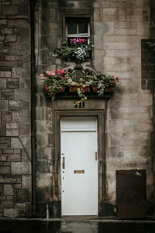 a couple of plants that are above a door