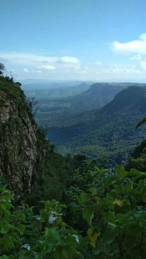 mountains are seen overlooking a forested area from a distance