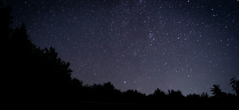 the stars shine brightly in the sky over a forest