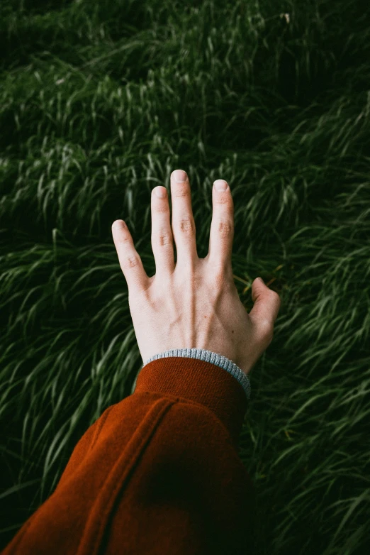 a person in a red sweater reaching out to reach the grass