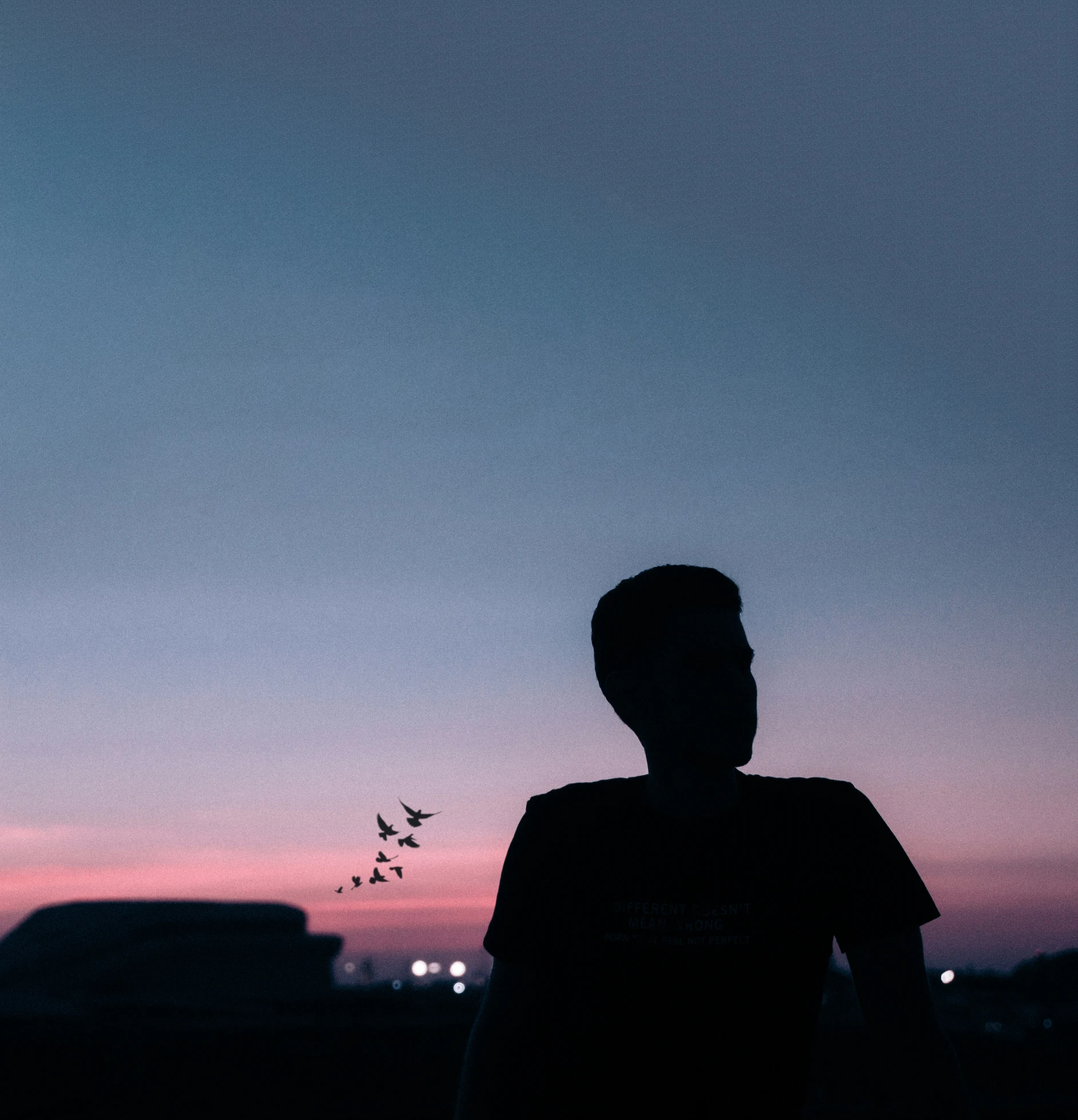 silhouette of a man and a bird flying by