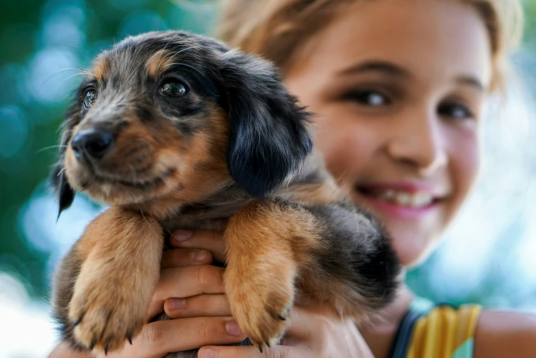 girl holding small puppy in her hand outside