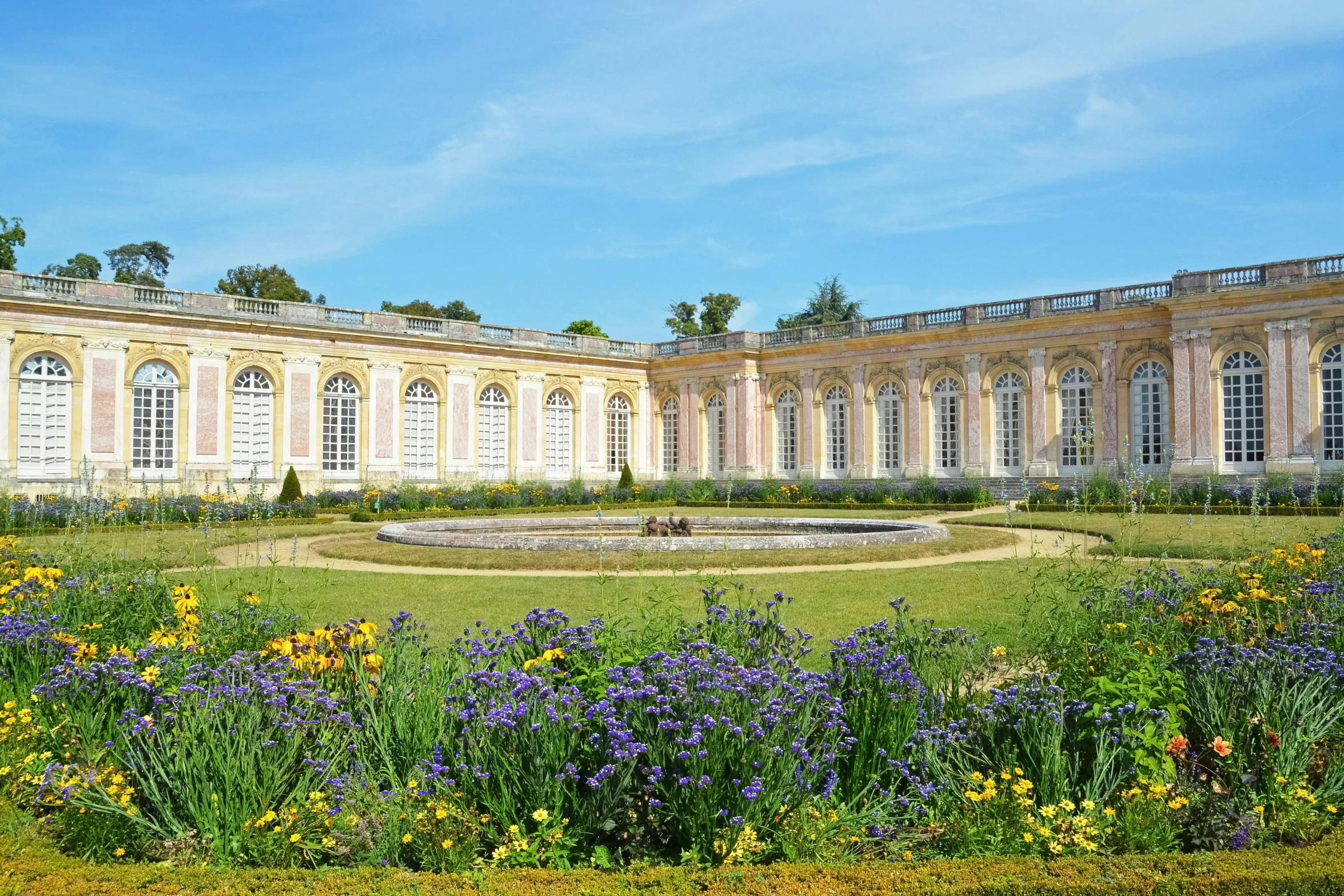 an image of a garden area with many different plants