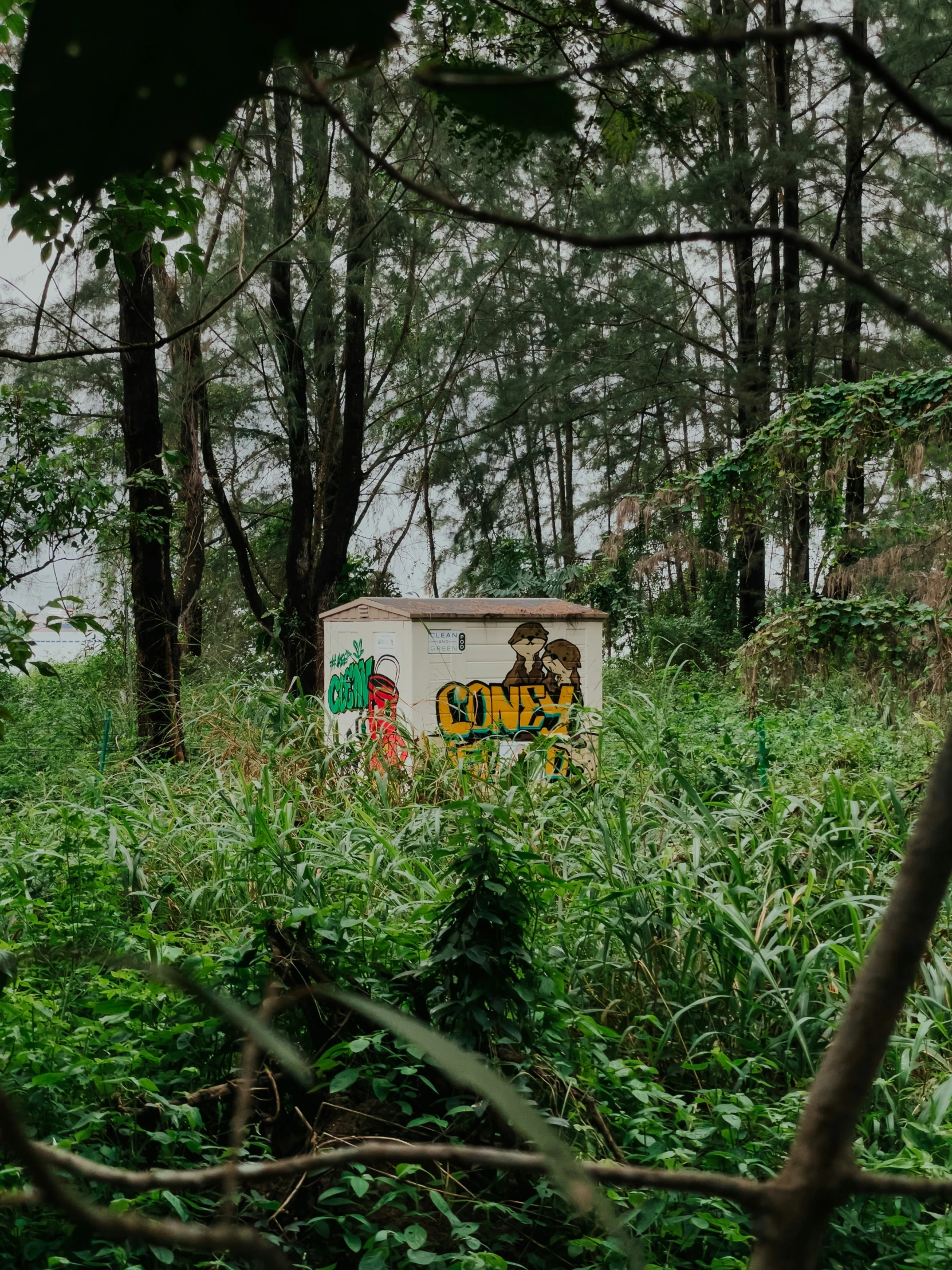 an open box sitting in the middle of a forest