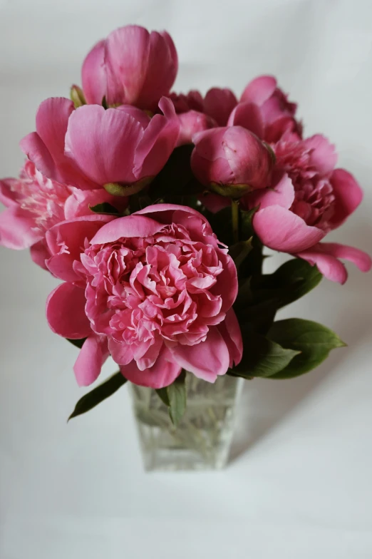 pink flowers are sitting in a glass vase