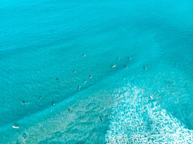 a large group of people riding surfboards on a big body of water