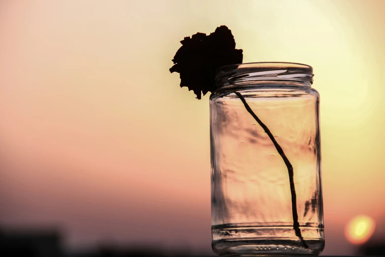an almost empty glass jar holds a dried rose on it