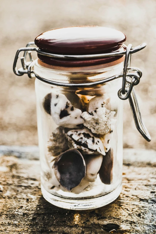 glass jar filled with animal themed items and with black lid