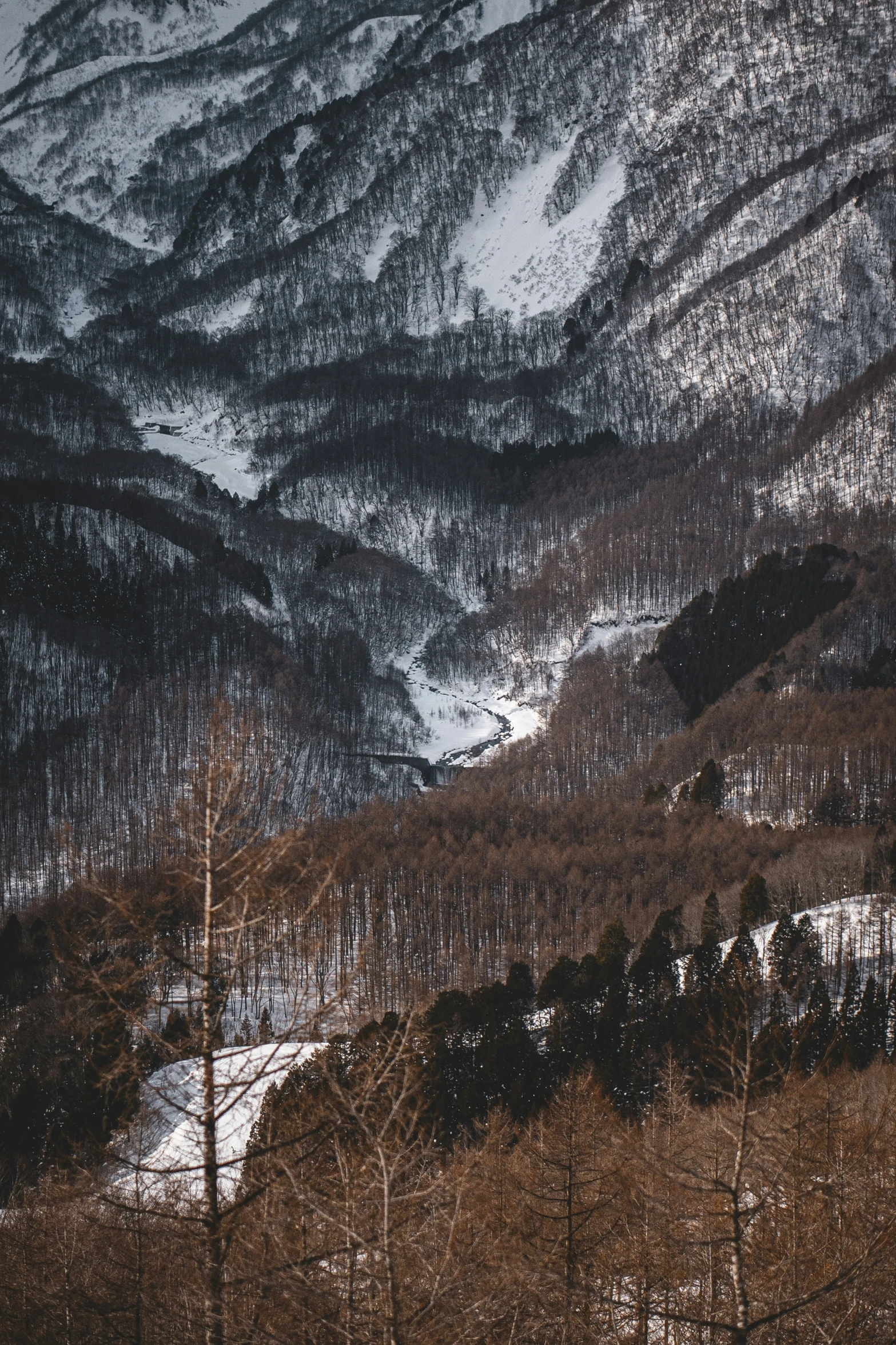 view of snowy mountain covered in snow with trees