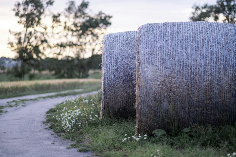 two sculpture sitting in the grass near a sidewalk