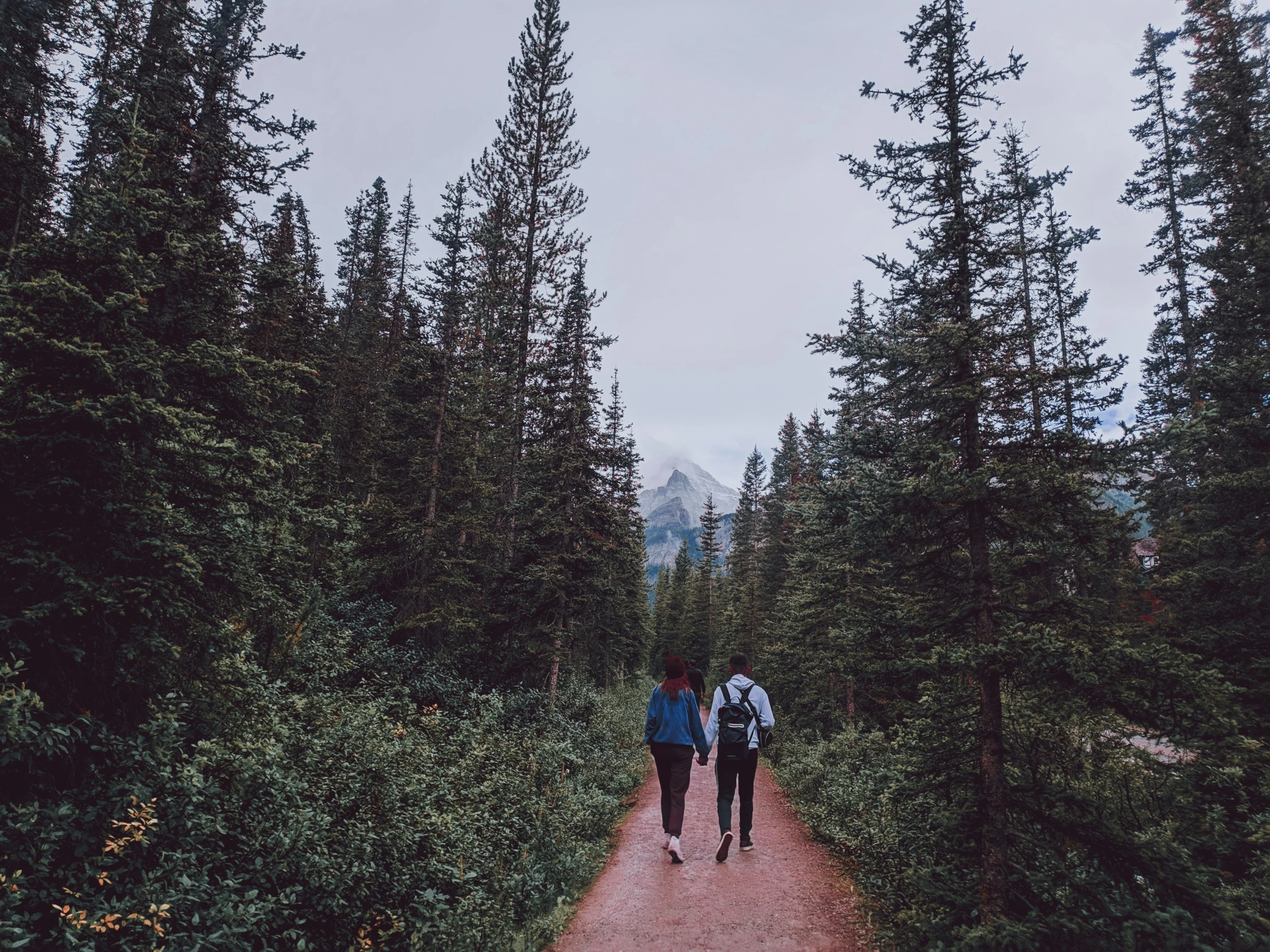 a couple of people are walking down a path