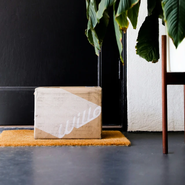 a cardboard box is on the floor by some plants