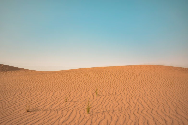 a vast area of dry grass in the middle of a desert