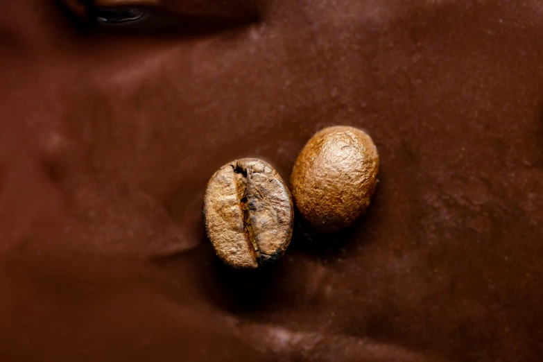 two pieces of fruit lie side by side on a fabric