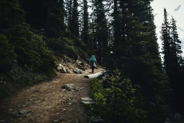 the man is hiking down the mountain path