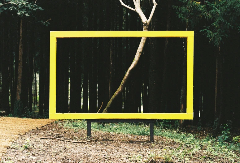 an odd looking yellow frame with a dead tree in it