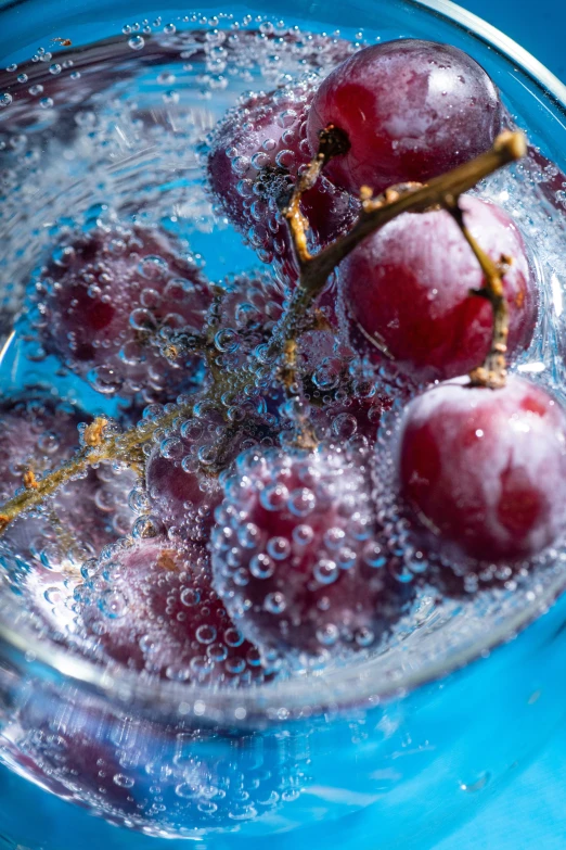 cherries sit in a small bowl with water