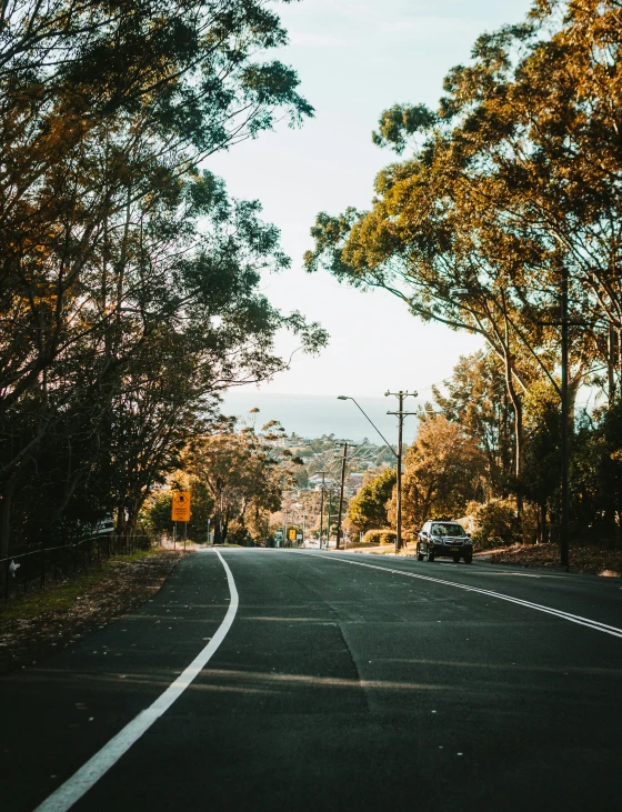 two yellow stoplights on a road in the trees