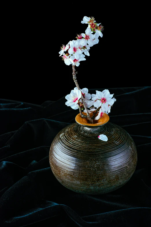 a single white flower sitting on top of a pot