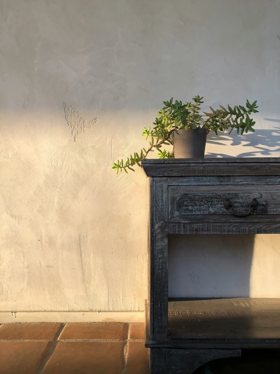 a potted plant in front of an old table