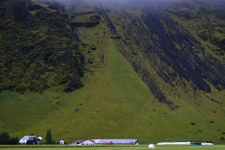 a grassy mountain with grass in the foreground